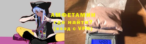 молекула духа Богданович