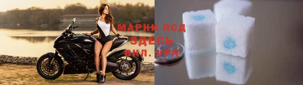 молекула духа Богданович