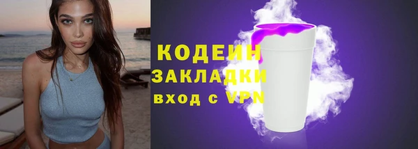 хмурый Няндома