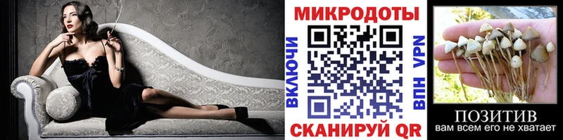 MEGA онион магазин Кашин Псилоцибиновые грибы Cubensis