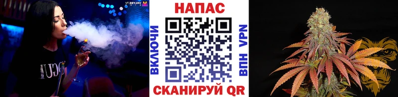 Бошки Шишки семена  Кашин 
